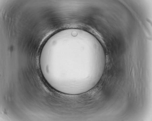 X0000094210012200710260943