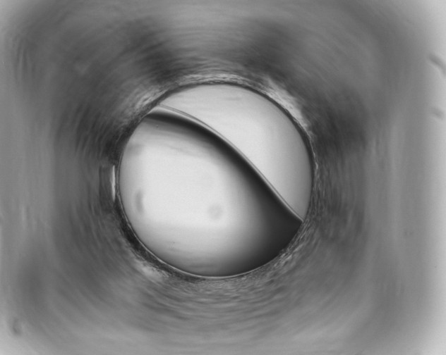 X0000094210013200710260943