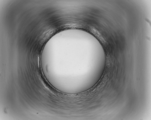 X0000094210014200710260942