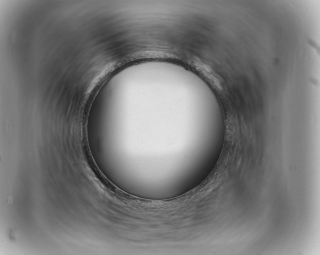 X0000094210015200710260942