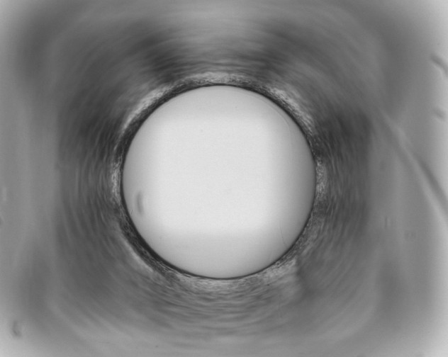 X0000094210016200710260942