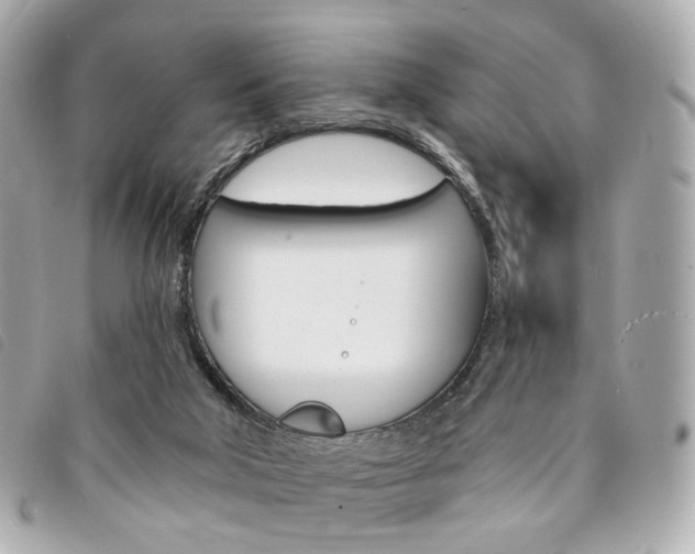 X0000094210018200710260942
