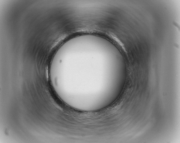 X0000094210020200710260942