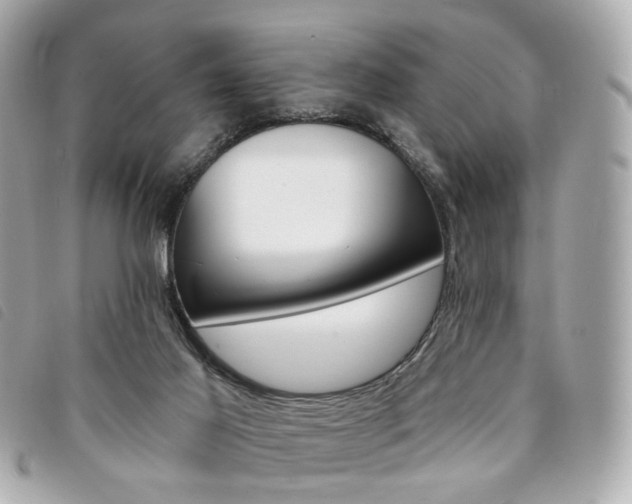 X0000094210021200710260942