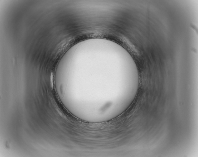 X0000094210022200710260942