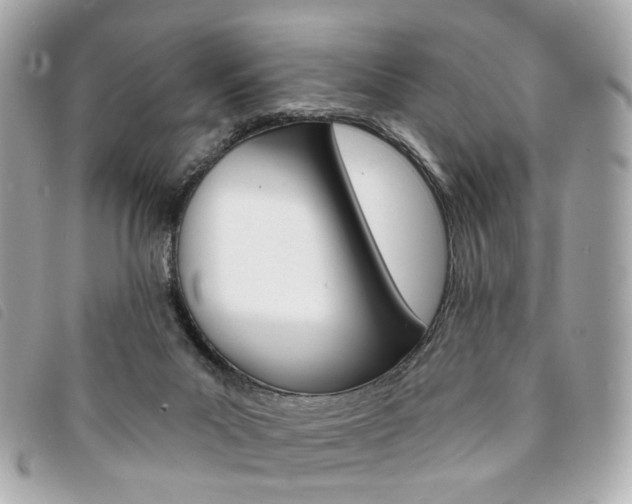 X0000094210023200710260942