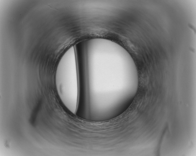 X0000094210027200710260942