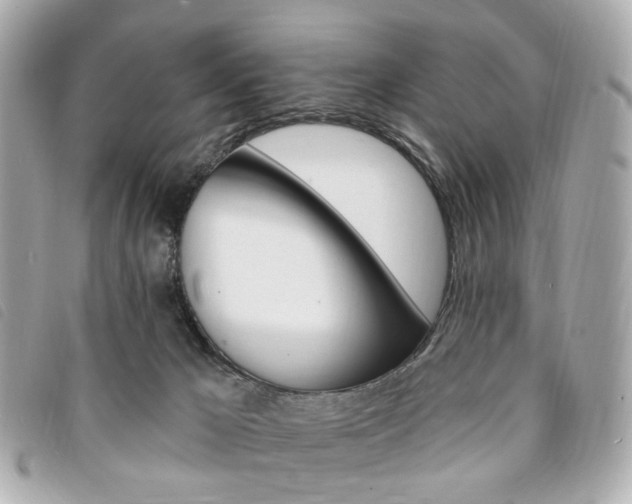 X0000094210029200710260942