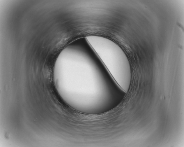 X0000094210031200710260942