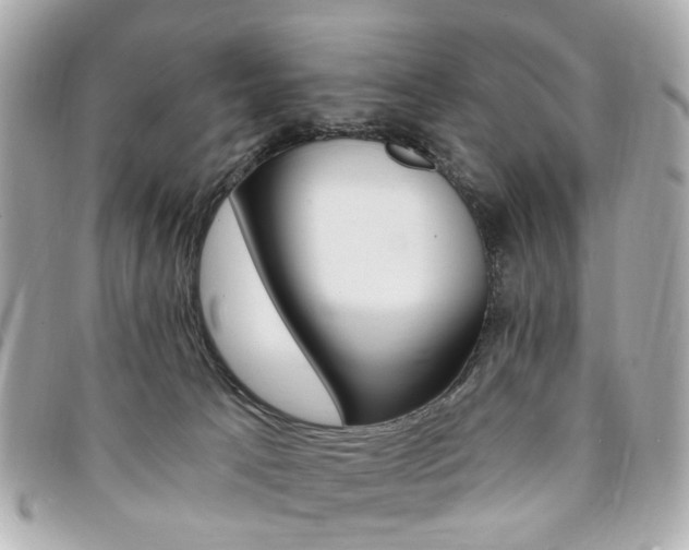 X0000094210033200710260942
