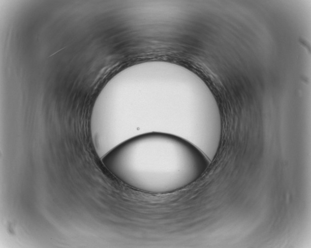 X0000094210035200710260942