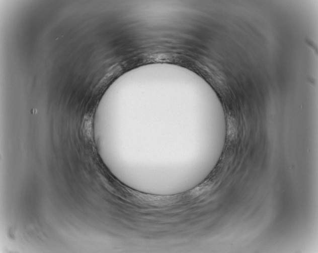 X0000094210036200710260942