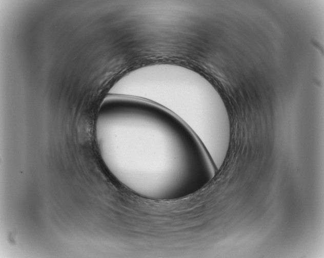 X0000094210039200710260942