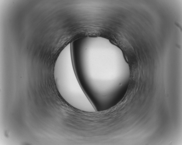 X0000094210041200710260942