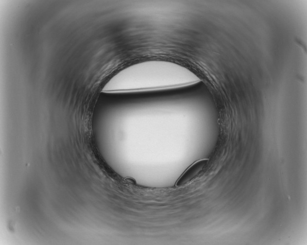 X0000094210044200710260942