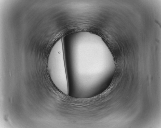 X0000094210045200710260942