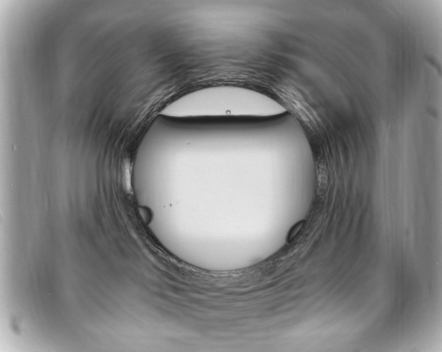 X0000094210046200710260942