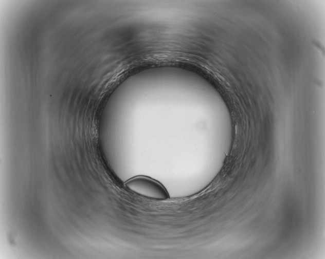 X0000094210048200710260942