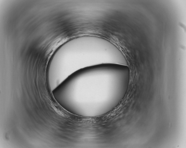 X0000094210050200710260942