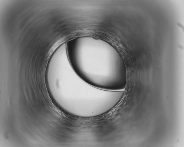 X0000094210051200710260942
