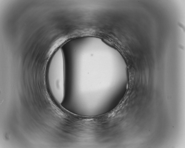 X0000094210054200710260942