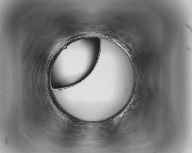 X0000094210055200710260942