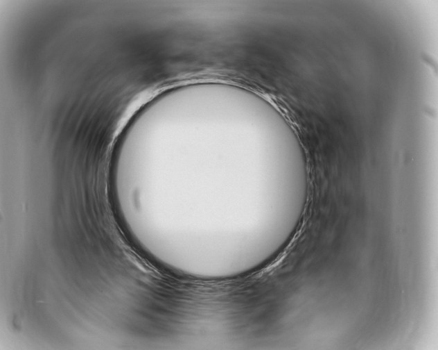X0000094210056200710260942