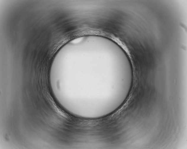 X0000094210057200710260942