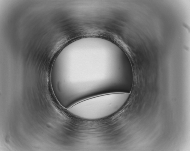X0000094210059200710260942