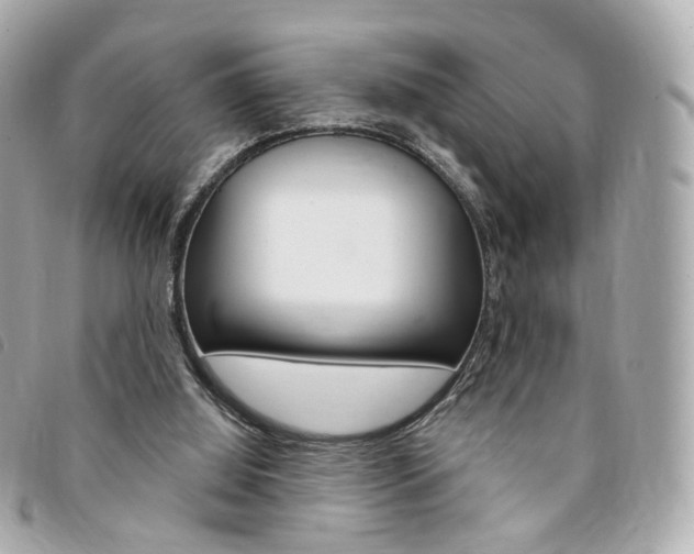 X0000094210060200710260942