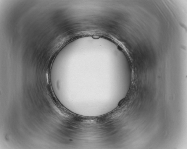 X0000094210061200710260942