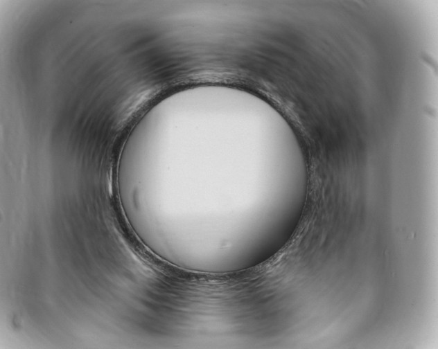 X0000094210062200710260942