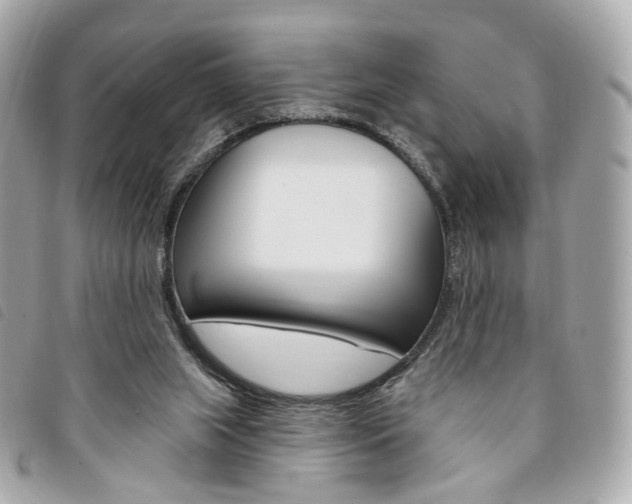 X0000094210063200710260942