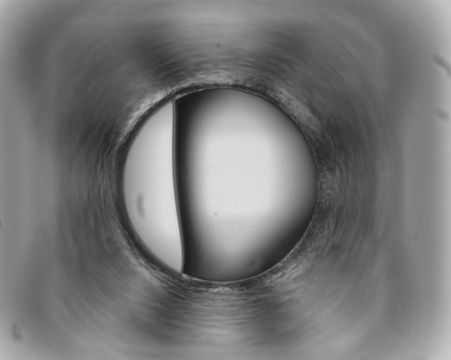 X0000094210064200710260942