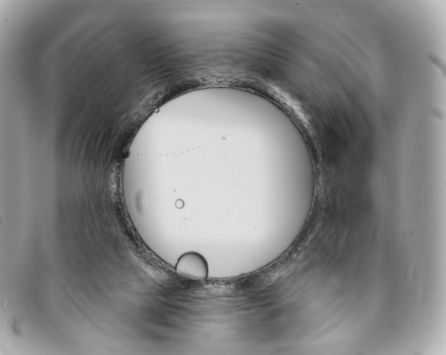 X0000094210065200710260942
