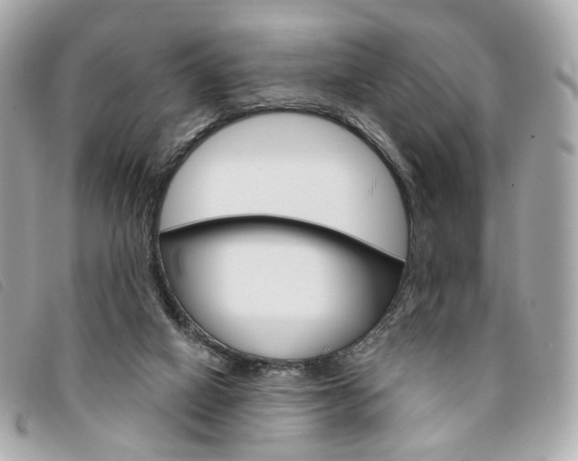 X0000094210066200710260942