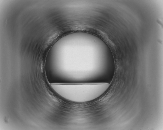 X0000094210068200710260942