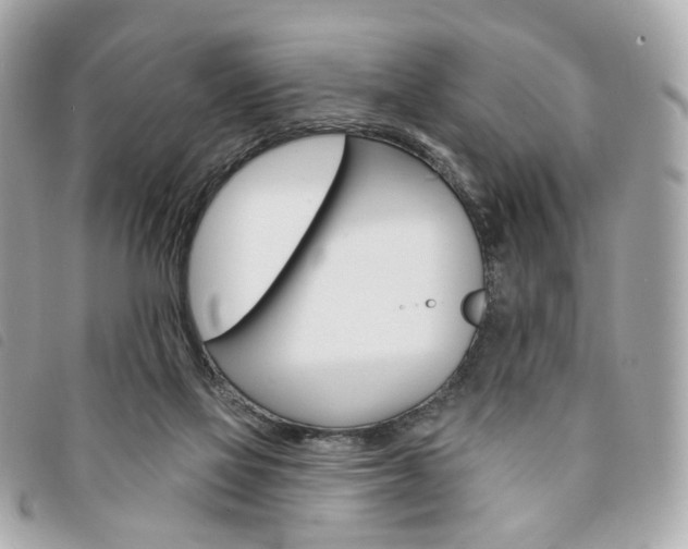 X0000094210069200710260942