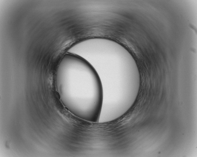 X0000094210072200710260942