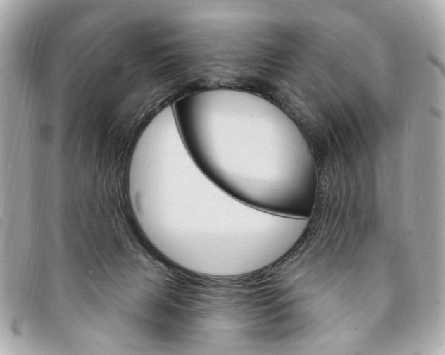 X0000094210079200710260942