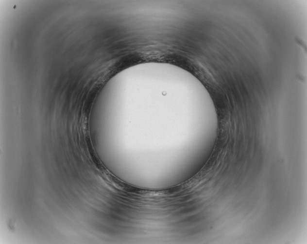 X0000094210081200710260942