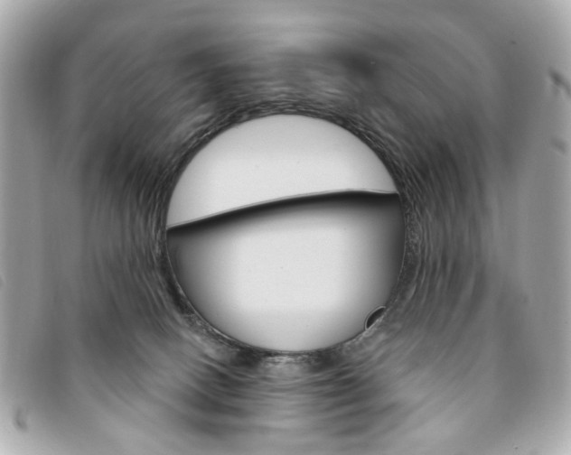 X0000094210082200710260942