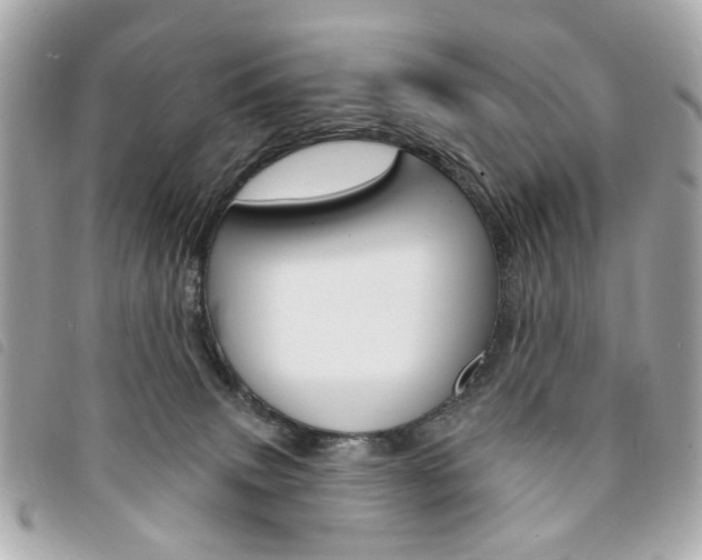X0000094210083200710260942