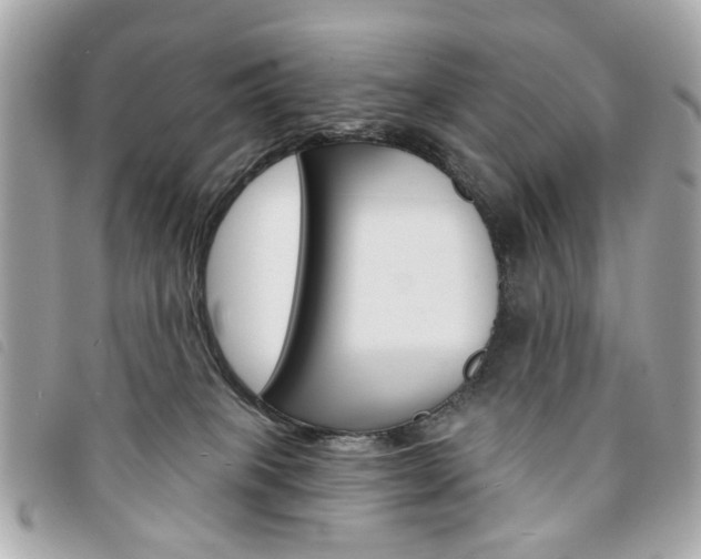 X0000094210085200710260942