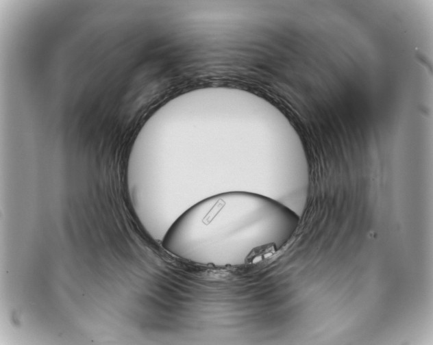 X0000094210086200710260942