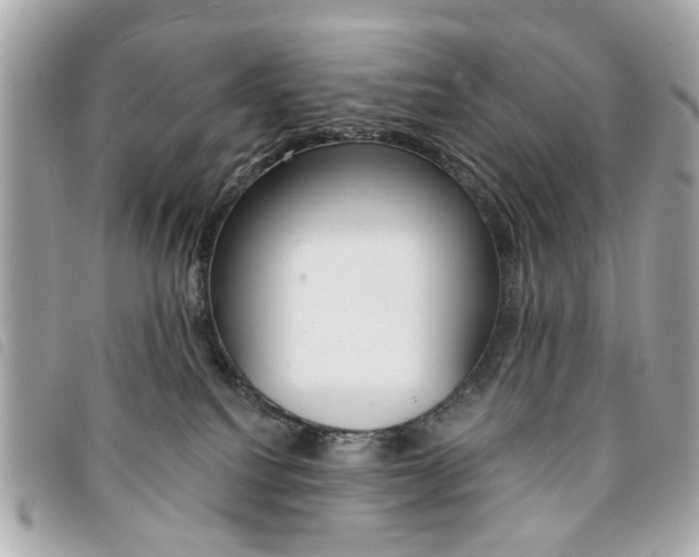 X0000094210088200710260942