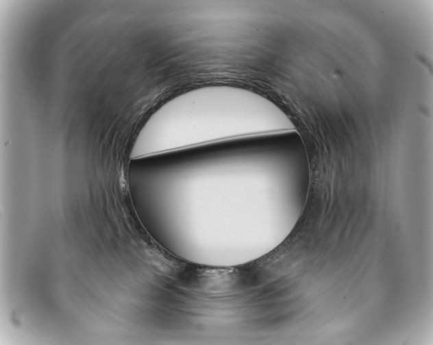 X0000094210089200710260942