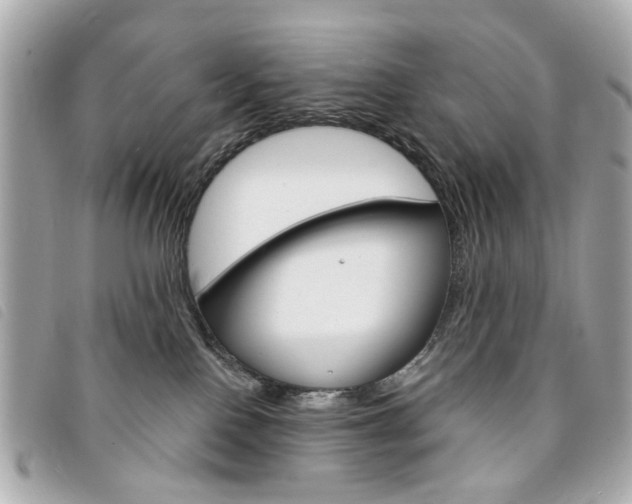X0000094210090200710260942