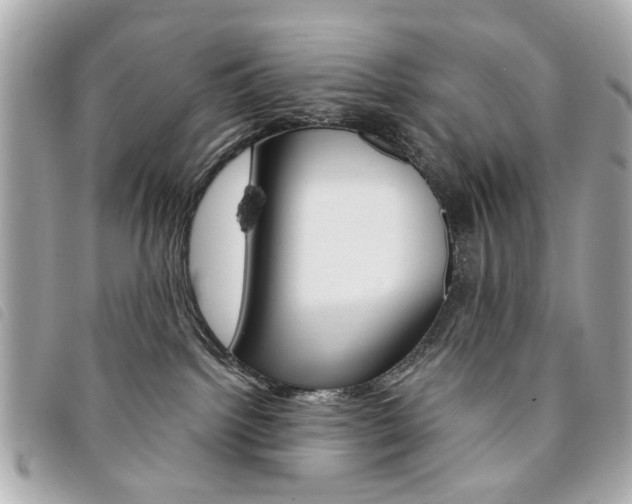X0000094210092200710260942