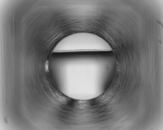 X0000094210095200710260942